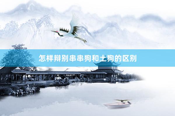 怎样辩别串串狗和土狗的区别