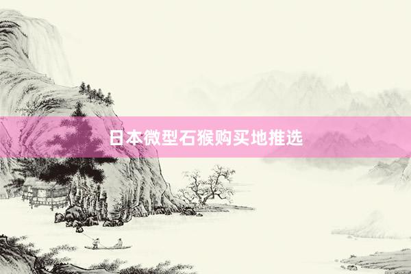 日本微型石猴购买地推选